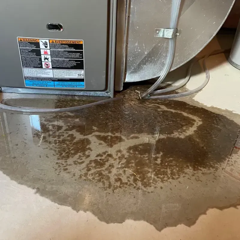 Appliance Leak Cleanup in Seattle, WA